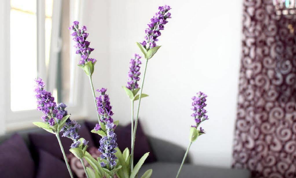 Apartment Lavanda سبليت المظهر الخارجي الصورة